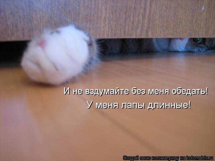 Котоматрица: И не вздумайте без меня обедать! У меня лапы длинные!