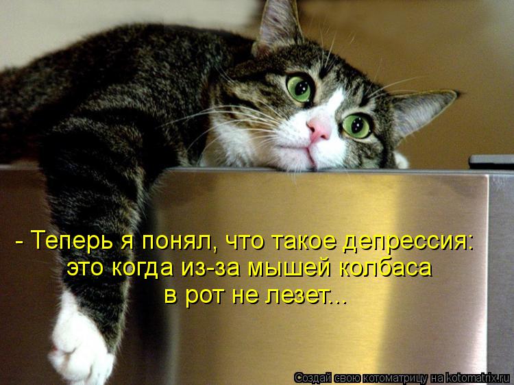 Котоматрица: - Теперь я понял, что такое депрессия: это когда из-за мышей колбаса в рот не лезет...
