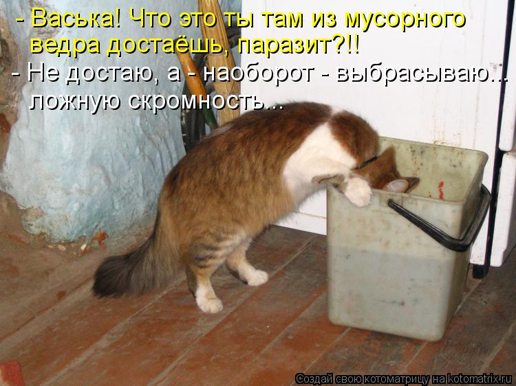 Котоматрица: - Васька! Что это ты там из мусорного ведра достаёшь, паразит?!! - Не достаю, а - наоборот - выбрасываю...  ложную скромность...