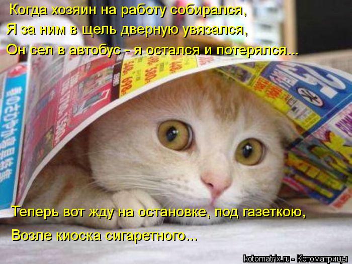 Когда хозяин на работу собирался, Я за ним в щель дверную увязался, Он сел в автобус - я остался и по... Котоматрица: Когда хозяин на работу собирался, Я за ним в щель дверную увязался, Он сел в автобус - я остался и потерялся... Теперь вот жду на остановке, под