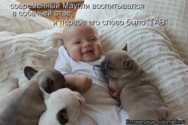 Котоматрица: современный Маугли воспитывался  в собачьей стае,  и первое его слово было "ГАВ"