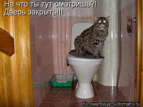 Котоматрица: На что ты тут смотришь?!  Дверь закрыть!!!