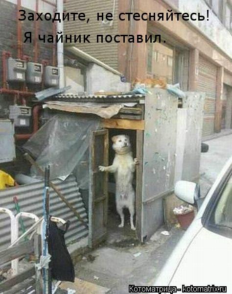 Заходите, не стесняйтесь! Я чайник поставил.... Котоматрица: Заходите, не стесняйтесь! Я чайник поставил.