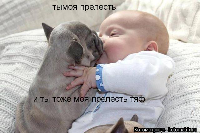 Котоматрица: тымоя прелесть и ты тоже моя прелесть тяф