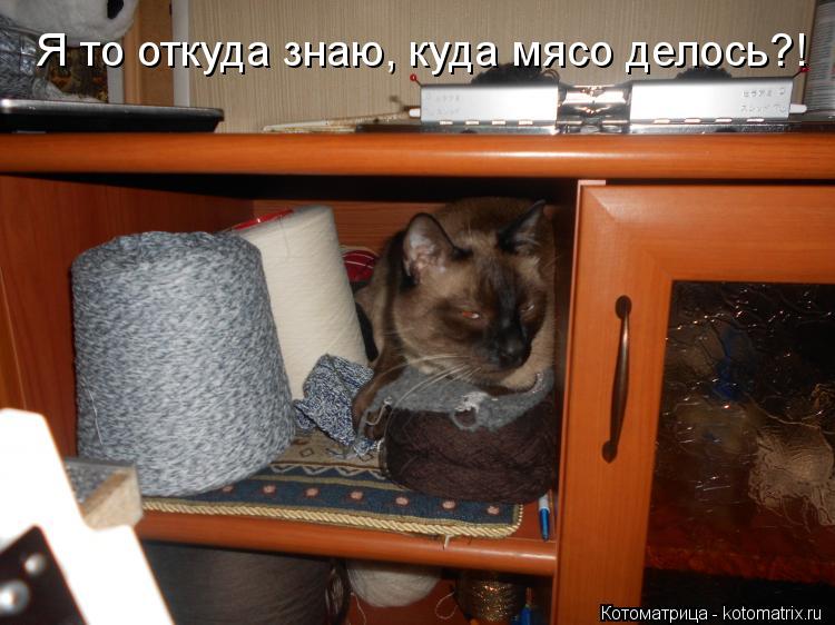 Котоматрица: Я то откуда знаю, куда мясо делось?!