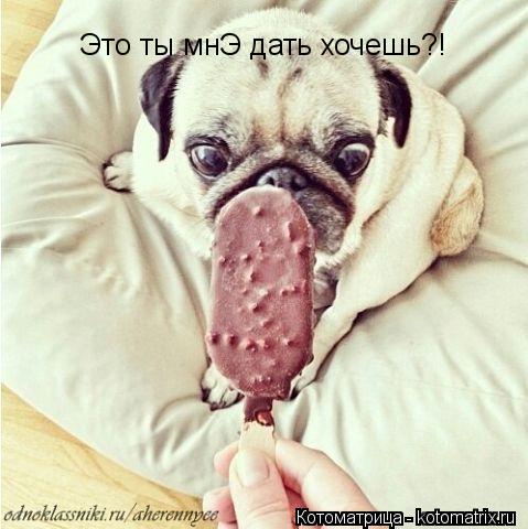 Котоматрица: Это ты мнЭ дать хочешь?!