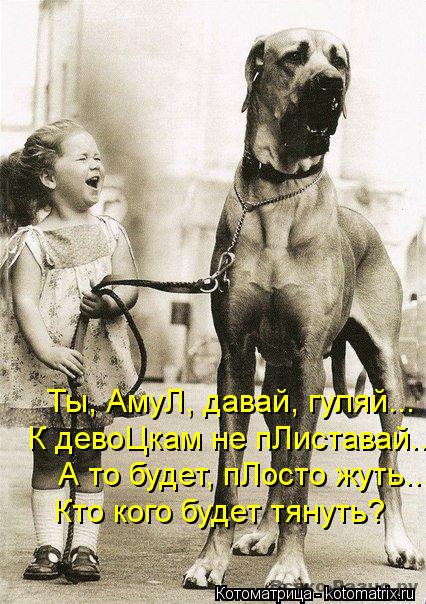 Котоматрица: Ты, АмуЛ, давай, гуляй... К девоЦкам не пЛиставай... А то будет, пЛосто жуть... Кто кого будет тянуть?