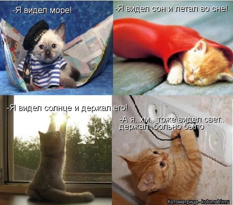 -Я видел море! -Я видел сон и летал во сне! -Я видел солнце и держал его! -А я..хм.. тоже видел свет.... Котоматрица: -Я видел море! -Я видел сон и летал во сне! -Я видел солнце и держал его! -А я..хм.. тоже видел свет.. держал..больно было