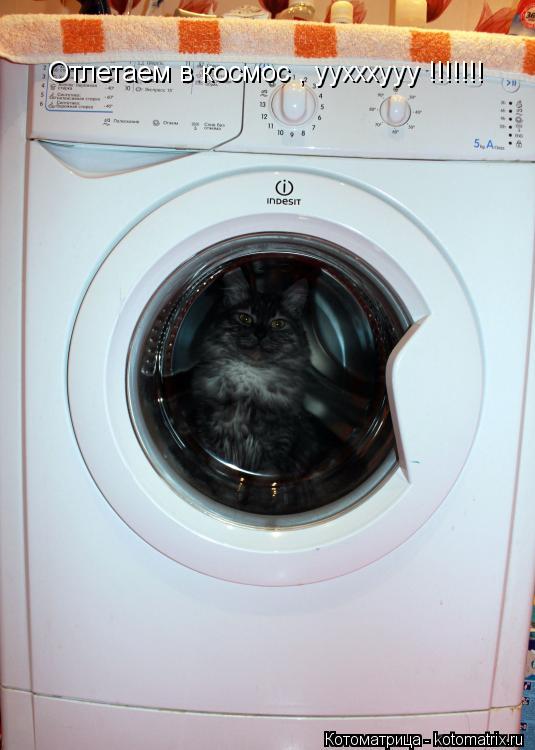 Отлетаем в космос , уухххууу !!!!!!!... Котоматрица: Отлетаем в космос , уухххууу !!!!!!!