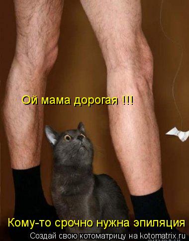 Ой мама дорогая !!! Кому-то срочно нужна эпиляция !!!... Котоматрица: Ой мама дорогая !!! Кому-то срочно нужна эпиляция !!!