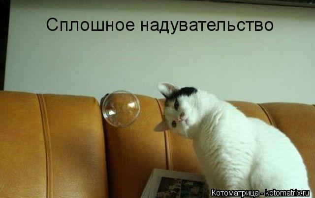 Сплошное надувательство... Котоматрица: Сплошное надувательство