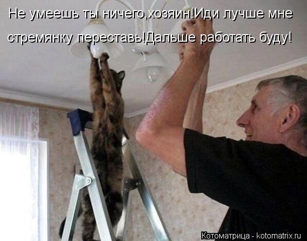 Не умеешь ты ничего,хозяин!Иди лучше мне стремянку переставь!Дальше работать буду!... Котоматрица: Не умеешь ты ничего,хозяин!Иди лучше мне стремянку переставь!Дальше работать буду!