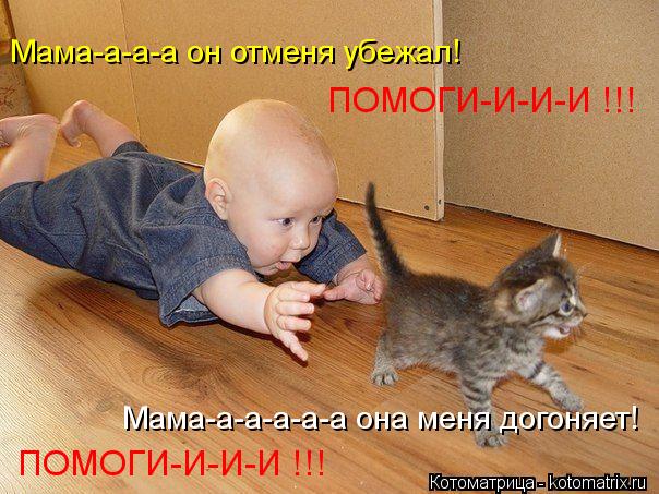 Котоматрица: Мама-а-а-а он отменя убежал! Мама-а-а-а-а-а она меня догоняет! ПОМОГИ-И-И-И !!! ПОМОГИ-И-И-И !!!