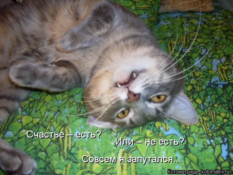 Счастье – есть? Или – не есть? Совсем я запутался...... Котоматрица: Счастье – есть? Или – не есть? Совсем я запутался...