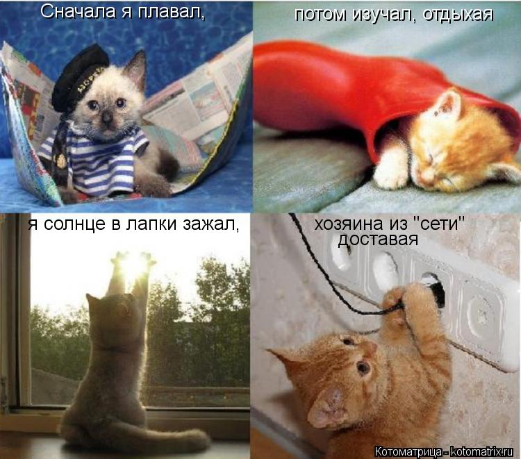 Котоматрица: Сначала я плавал, потом изучал, отдыхая я солнце в лапки зажал, хозяина из "сети" доставая