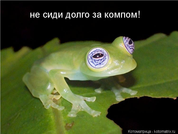 не сиди долго за компом!... Котоматрица: не сиди долго за компом!
