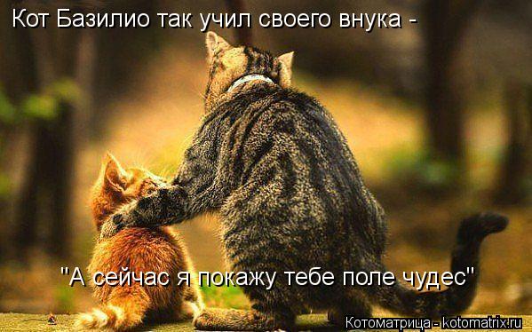 Кот Базилио так учил своего внука - "А сейчас я покажу тебе поле чудес"... Котоматрица: Кот Базилио так учил своего внука - "А сейчас я покажу тебе поле чудес"