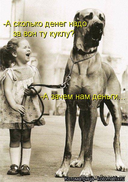 Котоматрица: -А сколько денег надо  за вон ту куклу? -А зачем нам деньги...