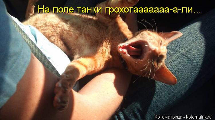 На поле танки грохотааааааа-а-ли...... Котоматрица: На поле танки грохотааааааа-а-ли...