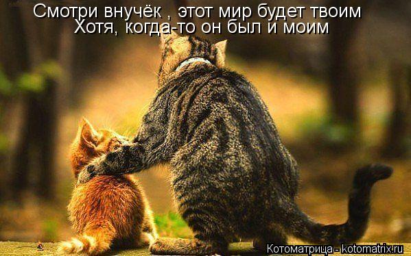 Котоматрица: Смотри внучёк , этот мир будет твоим Хотя, когда-то он был и моим