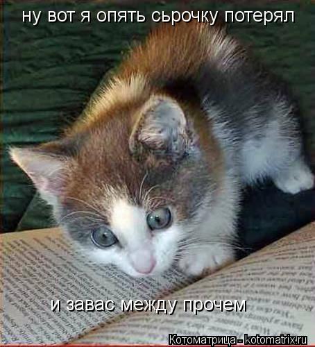 Котоматрица: ну вот я опять сьрочку потерял и завас между прочем