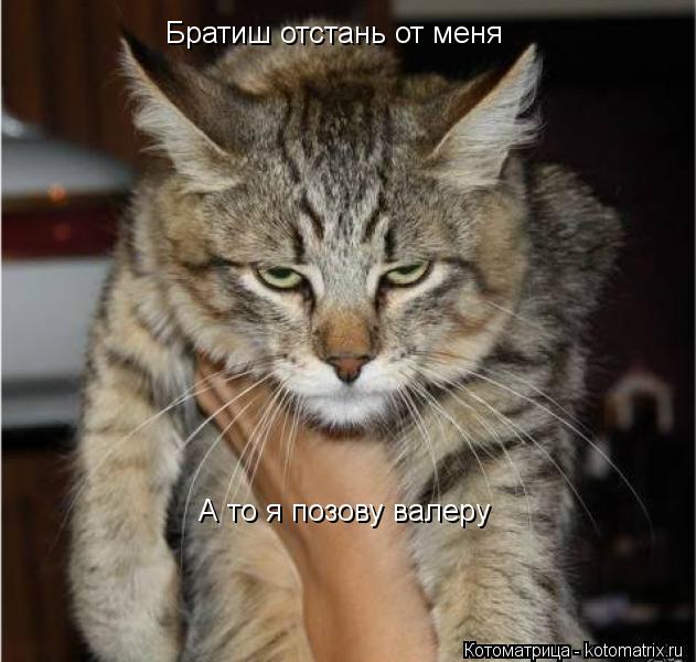 Котоматрица: Братиш отстань от меня А то я позову валеру