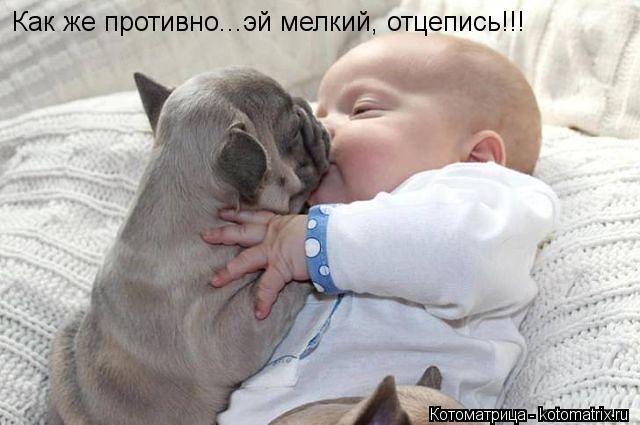 Котоматрица: Как же противно...эй мелкий, отцепись!!!