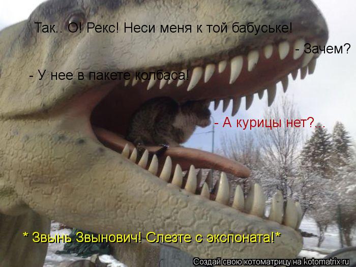 Котоматрица: Так.. О! Рекс! Неси меня к той бабуське! - Зачем? - У нее в пакете колбаса! * Звынь Звынович! Слезте с экспоната!* - А курицы нет?...