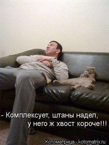 - Комплексует, штаны надел, у него ж хвост короче!!!... Котоматрица: - Комплексует, штаны надел, у него ж хвост короче!!!
