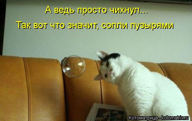 Котоматрица: А ведь просто чихнул... Так вот что значит, сопли пузырями