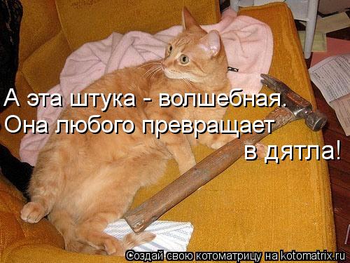 Котоматрица: А эта штука - волшебная. Она любого превращает в дятла!