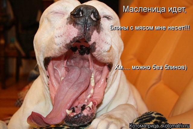 Масленица идет, Блины с мясом мне несет!!! Хм.... можно без блинов)... Котоматрица: Масленица идет, Блины с мясом мне несет!!! Хм.... можно без блинов)