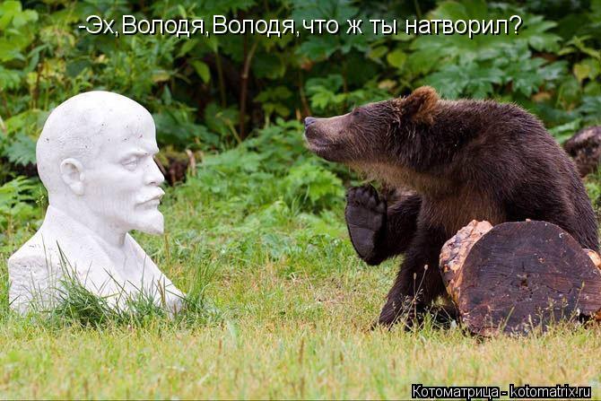 Котоматрица: -Эх,Володя,Володя,что ж ты натворил?