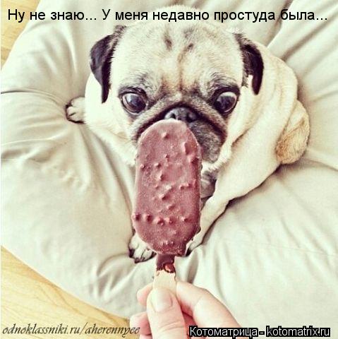 Котоматрица: Ну не знаю... У меня недавно простуда была...