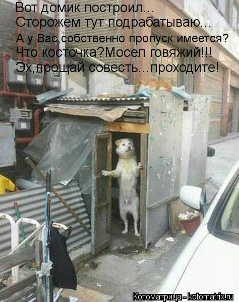 Вот домик построил... Сторожем тут подрабатываю... А у Вас,собственно пропуск имеется? Что косточка?М... Котоматрица: Вот домик построил... Сторожем тут подрабатываю... А у Вас,собственно пропуск имеется? Что косточка?Мосел говяжий!!! Эх,прощай совесть...проход