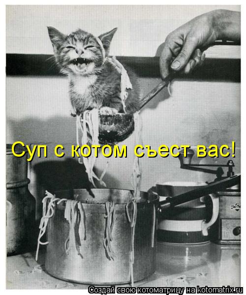 Котоматрица: Суп с котом съест вас!