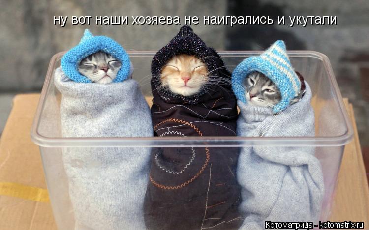 Котоматрица: ну вот наши хозяева не наигрались и укутали