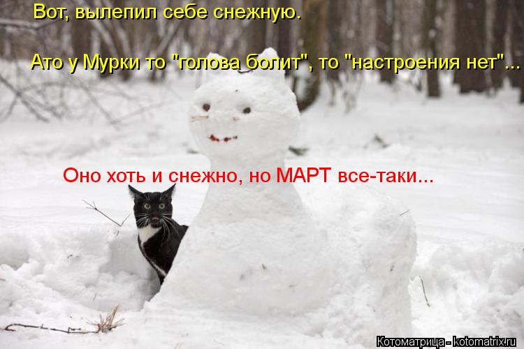 Котоматрица: Вот, вылепил себе снежную. Ато у Мурки то "голова болит", то "настроения нет"... Оно хоть и снежно, но МАРТ все-таки...