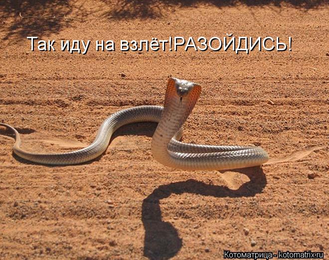 Котоматрица: Так иду на взлёт!РАЗОЙДИСЬ!