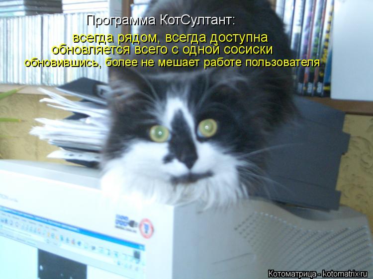Котоматрица: Программа КотСултант: всегда рядом, всегда доступна обновляется всего с одной сосиски обновившись, более не мешает работе пользователя