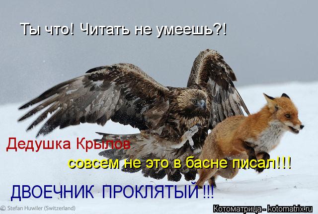 Котоматрица: Ты что! Читать не умеешь?! Дедушка Крылов совсем не это в басне писал!!! ДВОЕЧНИК  ПРОКЛЯТЫЙ !!!