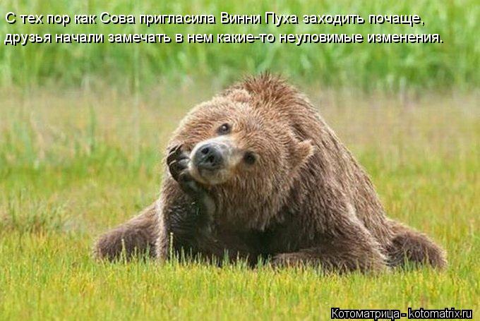 Котоматрица: С тех пор как Сова пригласила Винни Пуха заходить почаще, друзья начали замечать в нем какие-то неуловимые изменения.
