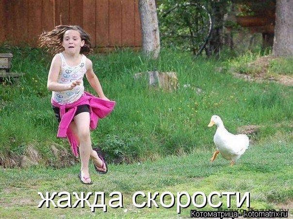 Котоматрица: жажда скорости