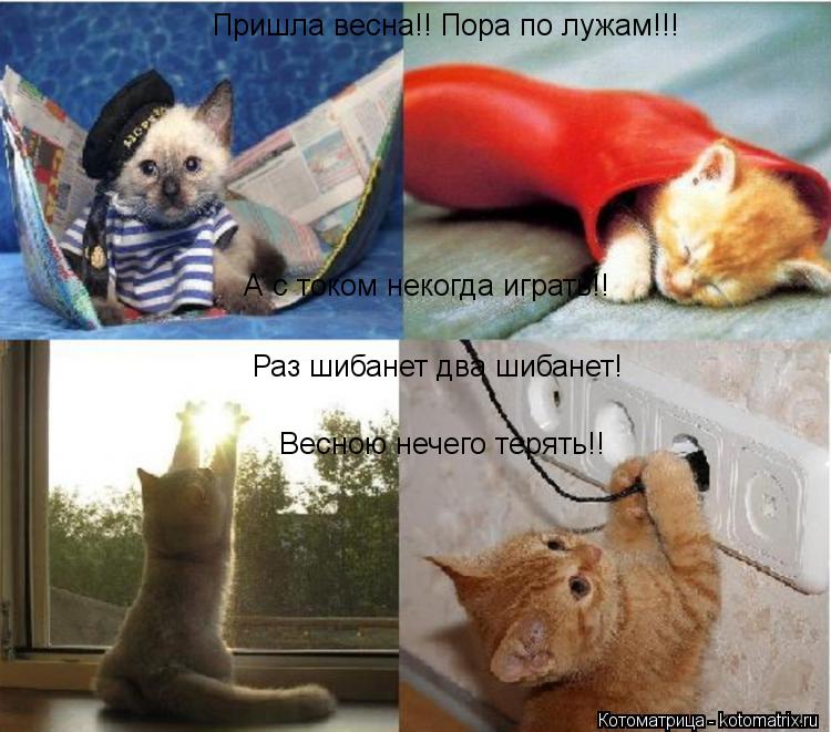 Пришла весна!! Пора по лужам!!! А с током некогда играть!! Раз шибанет два шибанет! Весною нечего тер... Котоматрица: Пришла весна!! Пора по лужам!!! А с током некогда играть!! Раз шибанет два шибанет! Весною нечего терять!!