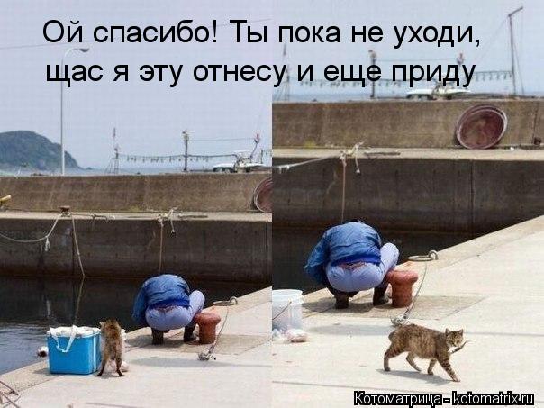 Ой спасибо! Ты пока не уходи, щас я эту отнесу и еще приду... Котоматрица: Ой спасибо! Ты пока не уходи, щас я эту отнесу и еще приду