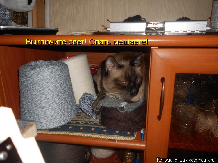 Котоматрица: Выключите свет! Спать мешаете!