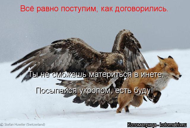 Котоматрица: Всё равно поступим, как договорились.  Ты не сможешь материться в инете. Посыпайся укропом, есть буду!