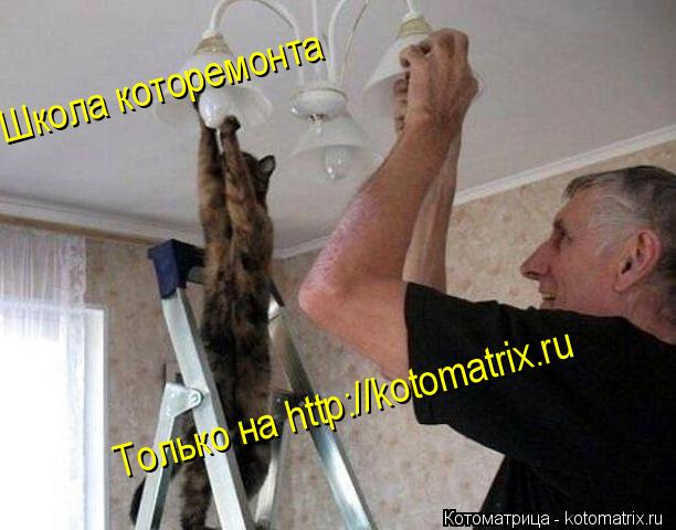 Школа которемонта Только на http://kotomatrix.ru... Котоматрица: Школа которемонта Только на http://kotomatrix.ru