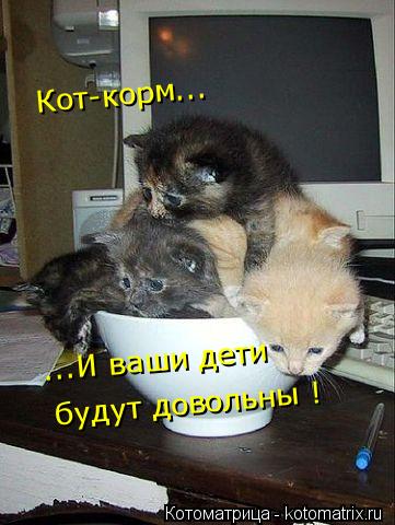 Котоматрица: ...И ваши дети Кот-корм... будут довольны !