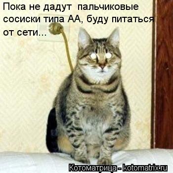 Котоматрица: Пока не дадут  пальчиковые  сосиски типа АА, буду питаться  от сети...